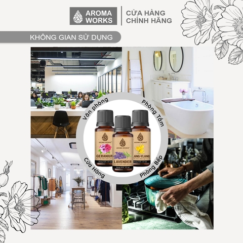 Tinh Dầu Thiên Nhiên Hoa Oải Hương Aroma Works Essential Oil Lavender