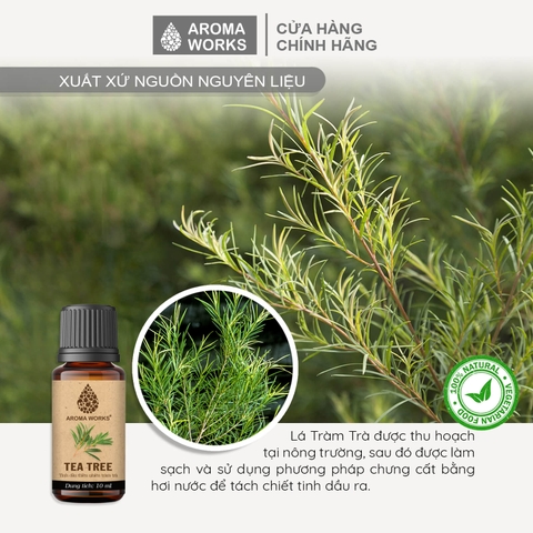 Tinh Dầu Thiên Nhiên Tràm Trà Aroma Works Essential Oil Tea Tree