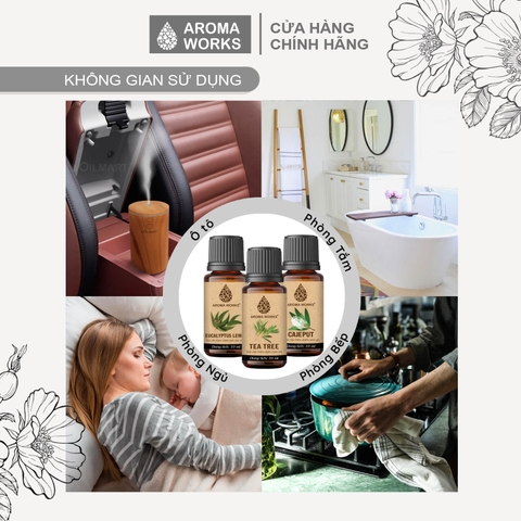 Tinh Dầu Thiên Nhiên Tràm Trà Aroma Works Essential Oil Tea Tree