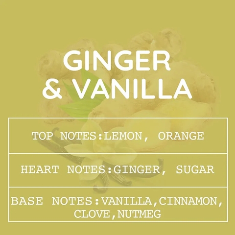 Tinh Dầu Thơm Làm Nến, Tán Hương, Mỹ Phẩm Mùi Ginger Vanilla