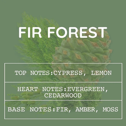 Tinh Dầu Thơm Làm Nến, Tán Hương, Mỹ Phẩm Mùi Fir Forest