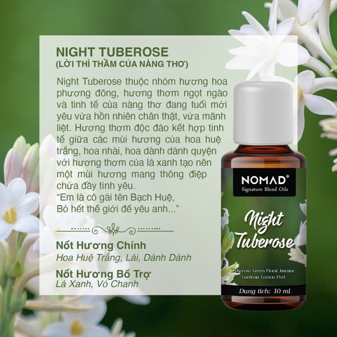 Tinh Dầu Thơm Nomad Signature Blend Oils - Night Tuberose