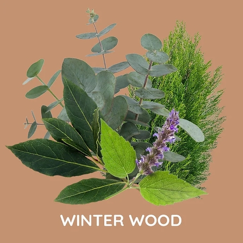 Tinh Dầu Thơm Làm Nến, Tán Hương, Mỹ Phẩm Mùi Winter Wood