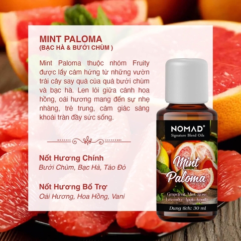 Tinh Dầu Thơm Nomad Signature Blend Oils - Mint Paloma