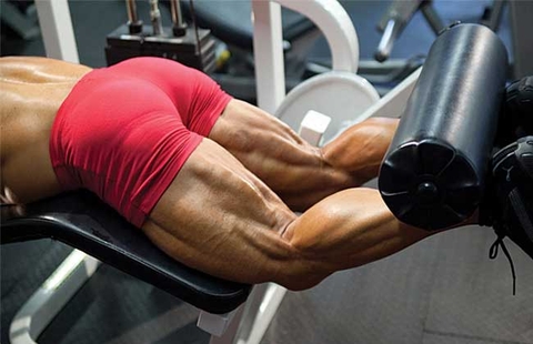 Hamstring là gì? Những bài tập cơ đùi sau hiệu quả bất ngờ