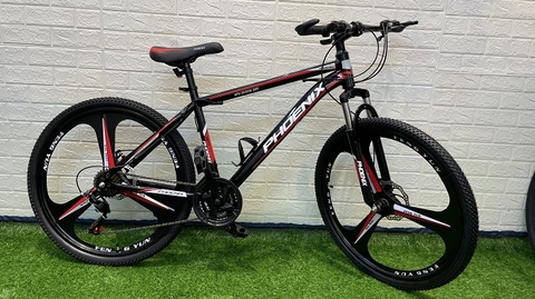 Nguồn gốc của xe đạp phoenix ở đâu? Giá bao nhiêu? Có tốt không?