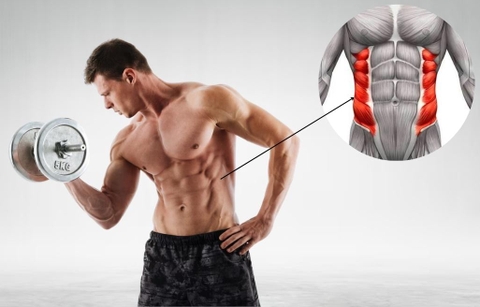 TOP 7 bài tập tạ dành cho cơ liên sườn nam cực hiệu quả