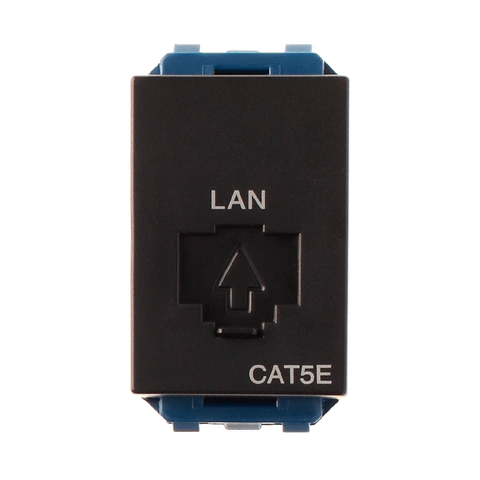 Ổ data CAT5 - WEV2488B