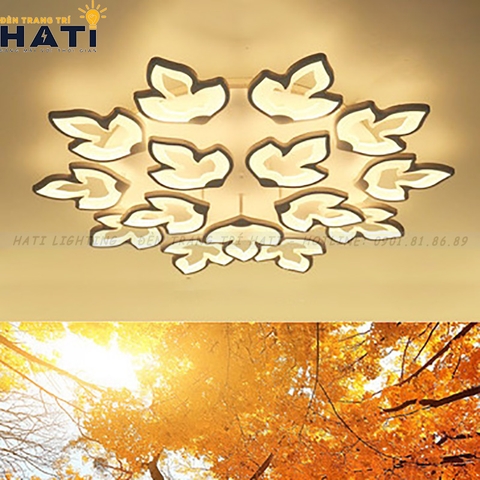 Đèn ốp trần led hình lá phong 15 cánh