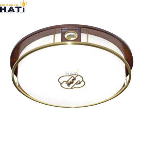 den-op-tran-dong-nireya-1