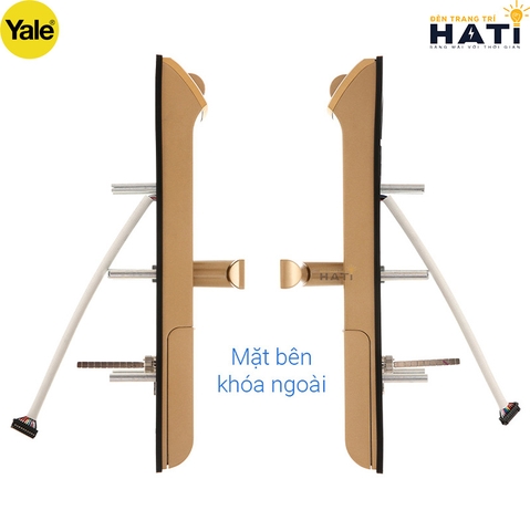 Khóa vân tay Yale YDM4109A màu vàng