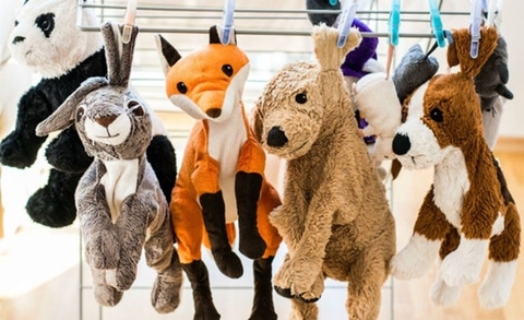 Làm thế nào để tránh việc ẩm mốc trên gấu bông?