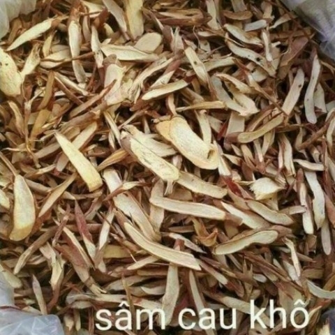 Sâm cau đỏ