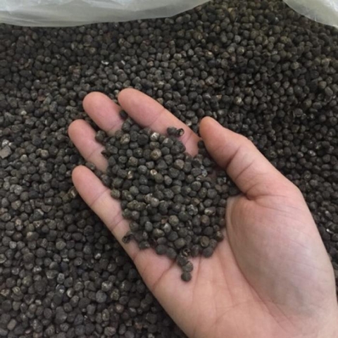 Hạt chuối hột rừng - 1Kg