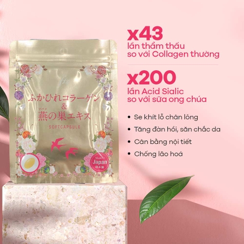 Viên uống Collagen tươi chiết xuất tổ yến Nhật Bản 30 viên
