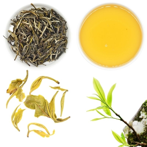 TRÀ XANH MÂY HỘP 80G