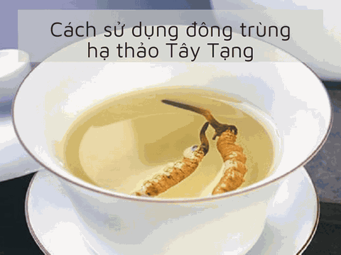 Đông Trùng Hạ Thảo Tây Tạng: Cách Sử Dụng & Bảo Quản