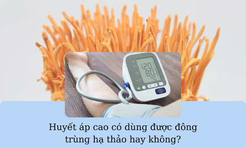 [Huyết Áp Cao Có Dùng Được Đông Trùng Hạ Thảo Hay Không]