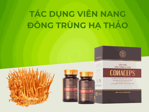 Tác Dụng Của Viên Đông Trùng Hạ Thảo Với Từng Đối Tượng