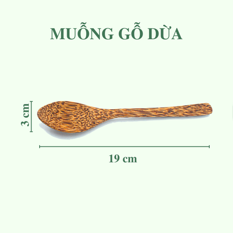 Muỗng gỗ dừa - Coconut Wooden Spoon