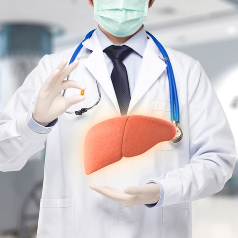 Gan – Trung tâm thải độc và chuyển hóa quan trọng của cơ thể: Cơ chế hoạt động và bí quyết bảo vệ tế bào gan hiệu quả