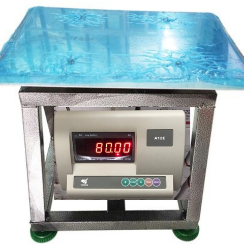 CÂN GHẾ 100KG A12E