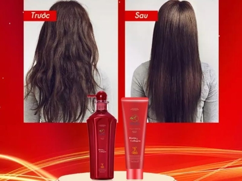 Top 5 dầu gội cặp phục hồi hư tổn cho tóc bán chạy nhất hiện nay