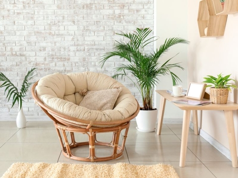 Ghế papasan: lựa chọn tuyệt vời cho không gian sân vườn của bạn