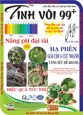 TINH VÔI 99