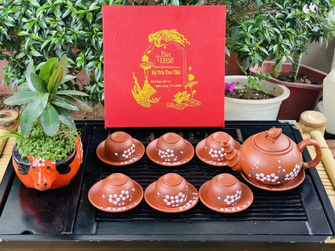 Ấm Chén Bát Tràng In Hình Hoa Mai Trắng