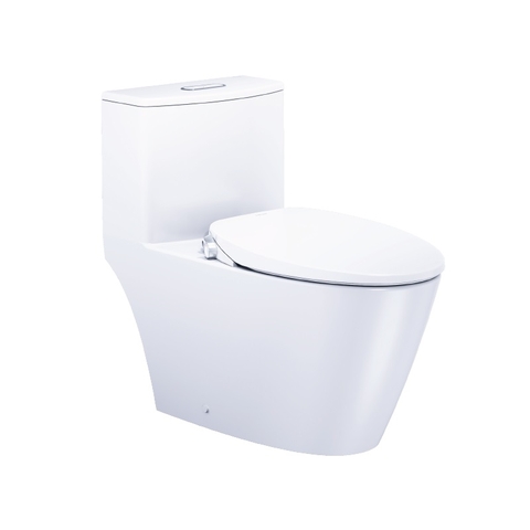 Bồn cầu 1 khối Caesar CD1363F nắp rửa cơ TAF060