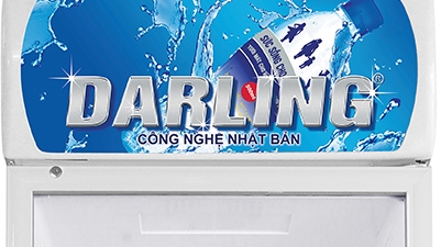 Tủ mát Darling Inverter 360 lít DL-3600A4