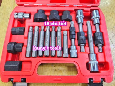 Bộ tuýp khẩu tháo mở puly máy phát 18 chi tiết Wetools WT1170