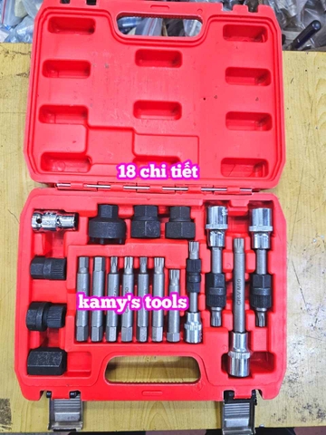 Bộ tuýp khẩu tháo mở puly máy phát 18 chi tiết Wetools WT1170