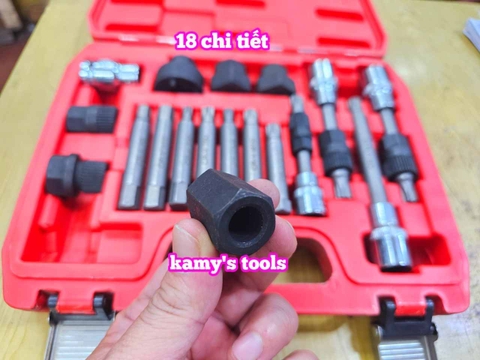 Bộ tuýp khẩu tháo mở puly máy phát 18 chi tiết Wetools WT1170