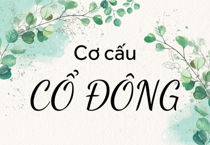 CƠ CẤU CỔ ĐÔNG