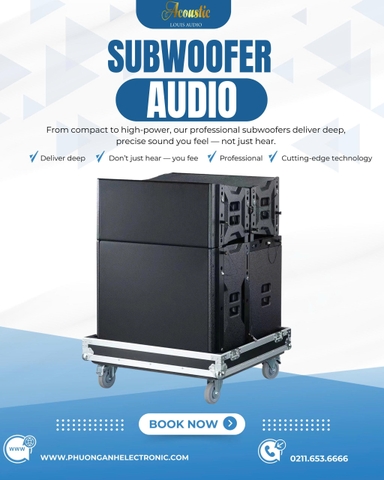 Loa sân khấu SUBWOOFER THỤ ĐỘNG FT-18SD