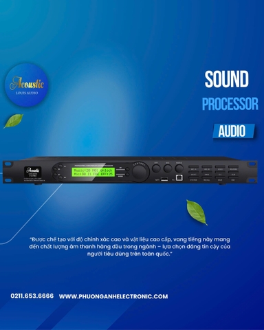 Vang số Acoustic X12