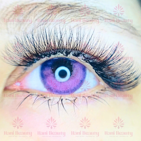 Quy Trình Nối Mi Chuẩn Salon: 6 Bước Chi Tiết Cho Người Mới