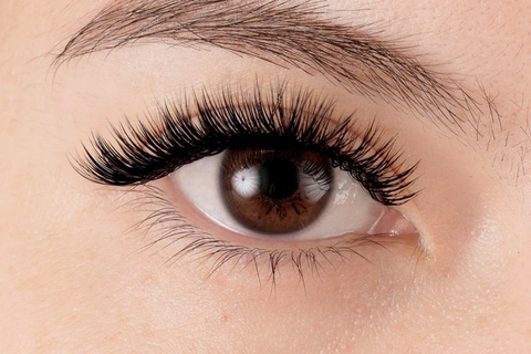 Nối Mi Mega Volume: Bí Quyết Sở Hữu Đôi Mắt Quyến Rũ, Hút Hồn Chuẩn Sao Hàn