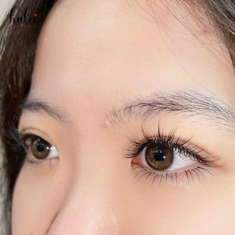 Nối Mi Cho Dịp Đặc Biệt – Bí Quyết Tỏa Sáng Trong Mọi Khoảnh Khắc