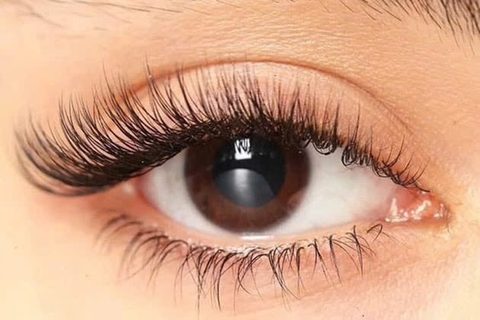 Nối Mi Chuyên Nghiệp: Bí Quyết Sở Hữu Hàng Mi Cong Vút, Quyến Rũ Mỗi Ngày