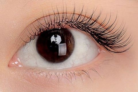 Nối Mi Tại Nhà – Giải Pháp Làm Đẹp Tiết Kiệm Và Linh Hoạt Cho Phái Đẹp Hiện Đại