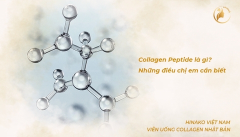Collagen Peptide là gì? - Những điều chị em cần biết