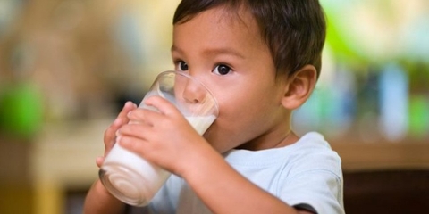 Có nên cho trẻ uống nhiều sữa tươi hay không?