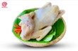 Gà mái ri nguyên con loại 3