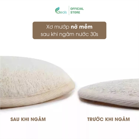 Bông Tắm Xơ Mướp Cao Cấp ECODEALS 100% Xơ Mướp Hữu Cơ
