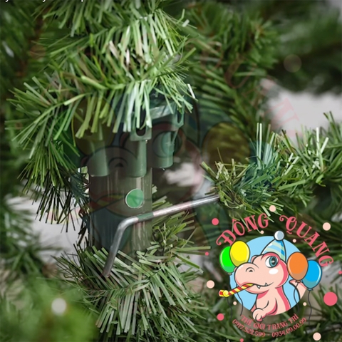 Cây thông Levo phủ tuyết tán rộng (cành treo)