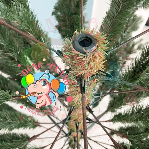 Cây thông PE (cành tự động xoè)