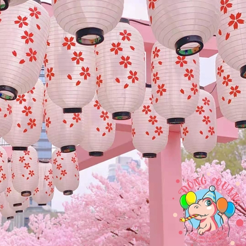 Lồng đèn Nhật Bản vải trụ Hoa Anh Đào (cặp)
